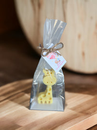 Baby Shower Favors