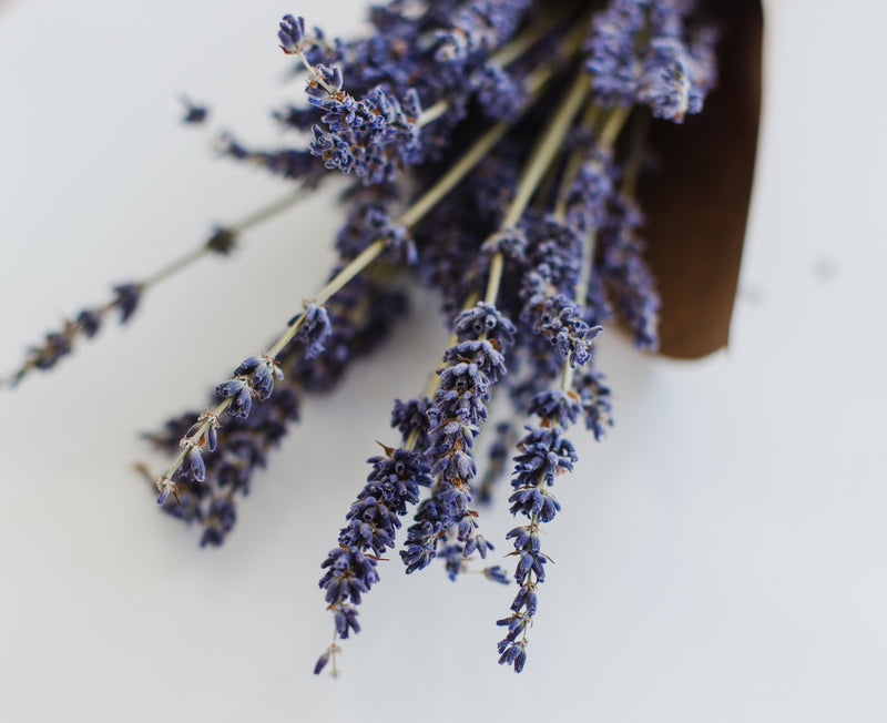Lavender Bath and Body Products Susan Linn